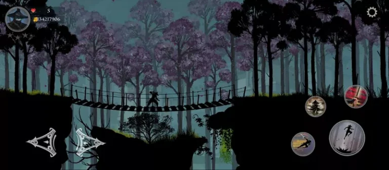 ninja arashi shadow return (1)