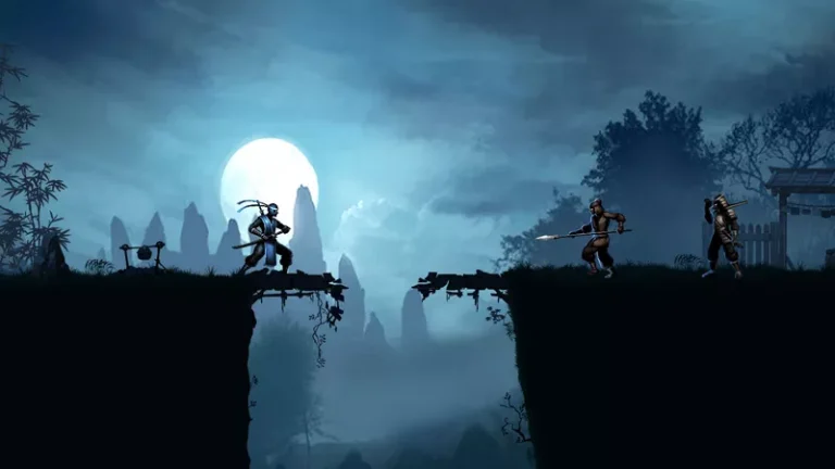 Ninja warrior1