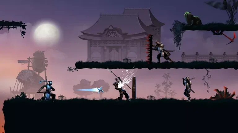 Ninja warrior2