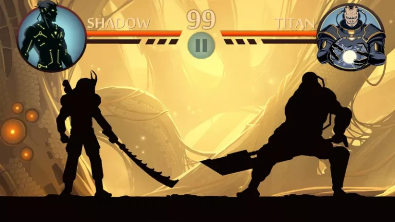 Shadow Fight 24